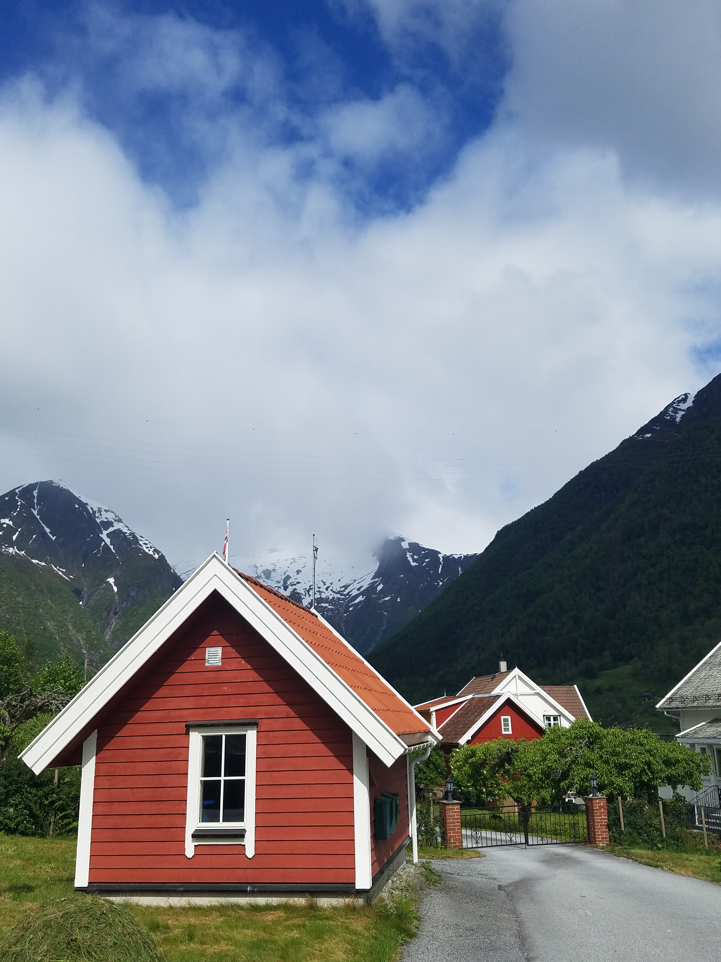 20170601_043805.jpg