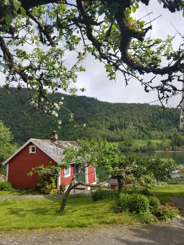 20170601_043934