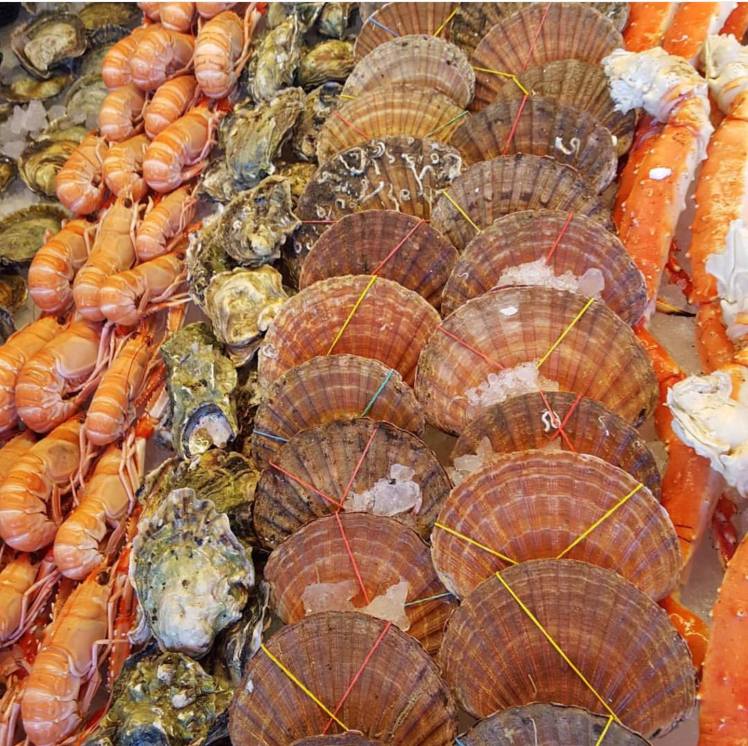 21104060_1797748006919845_820506465_o