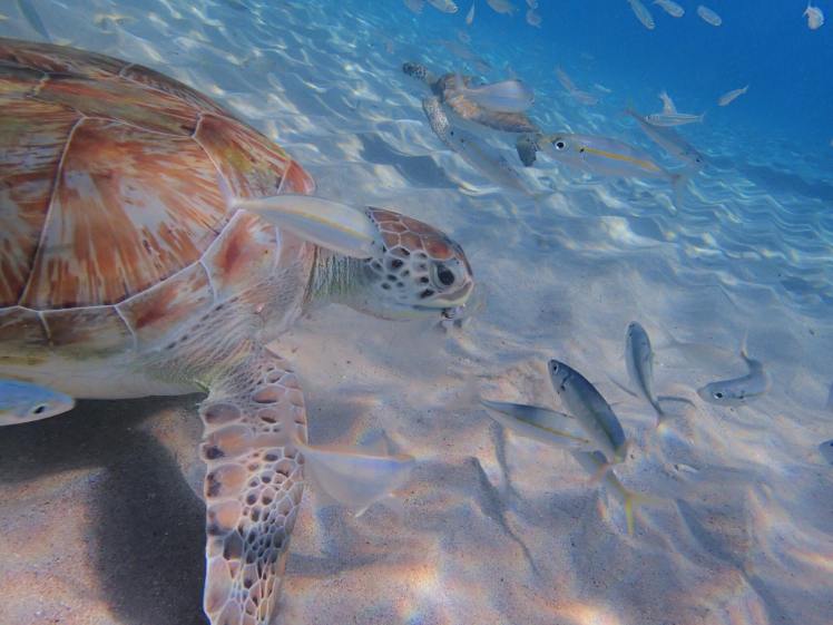 received_10104630747561639