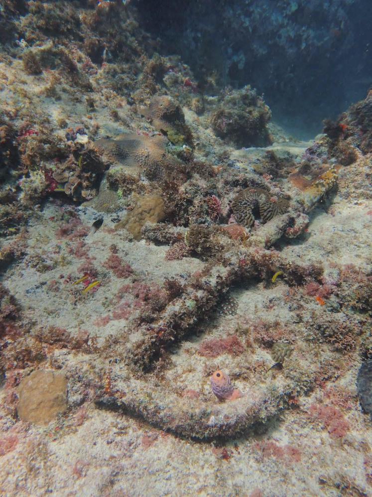 received_10104630754288159