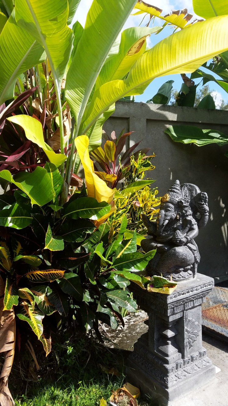 IMG_20180406_092647_438